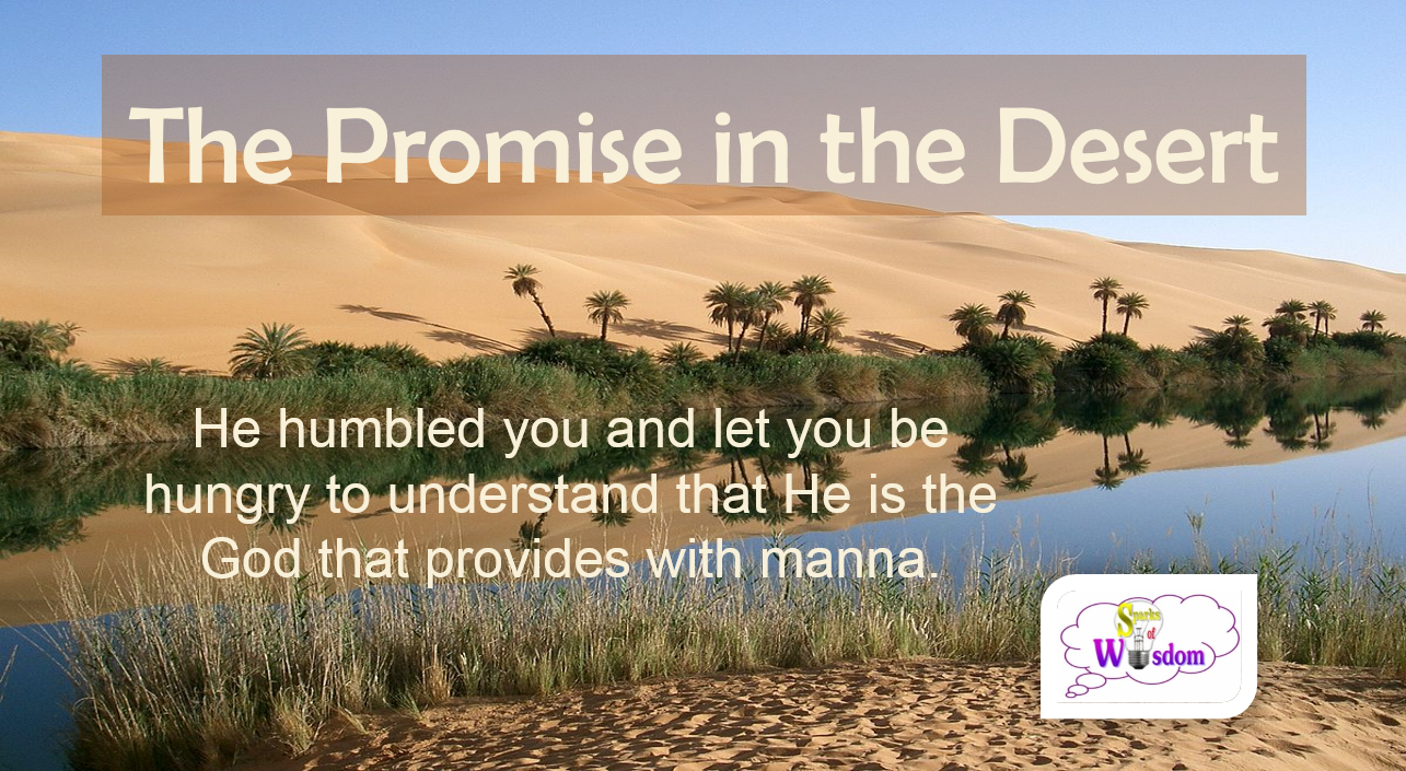 Promise in the Desert