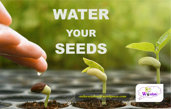 Water Your Seeds